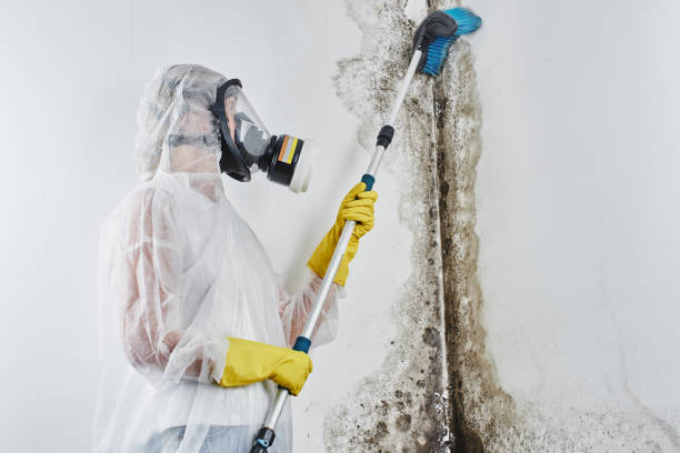 Robbins, NC Mold Remediation Company